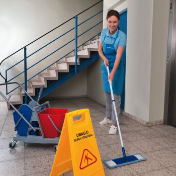 Usługi porządkowo-czystościowe  (Cleaning)